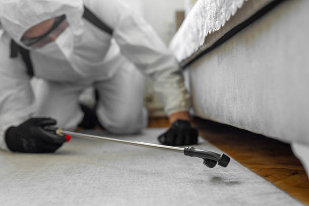 Professional Bed Bug Control technician working in Mammoth Spring, AR